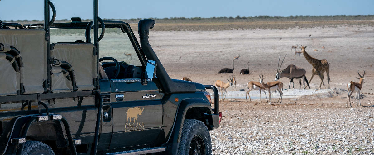 Anderssons at Ongave by Dana Allen (6)