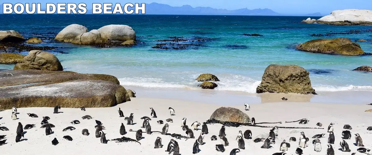 Boulders_Beach_Simonstown