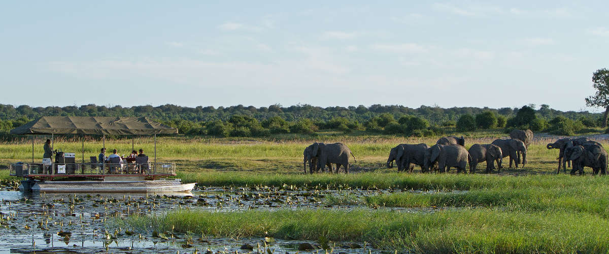 Chobe Game Lodge River-Safari