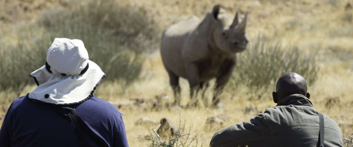 Desert Rhino Camp (3)