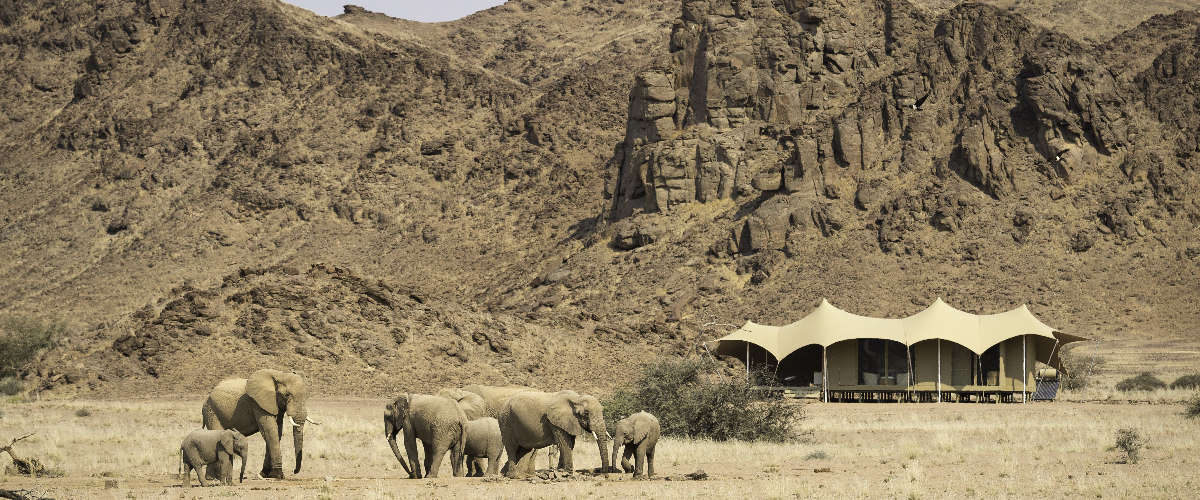 HoanibSkeleton_Coast (5)