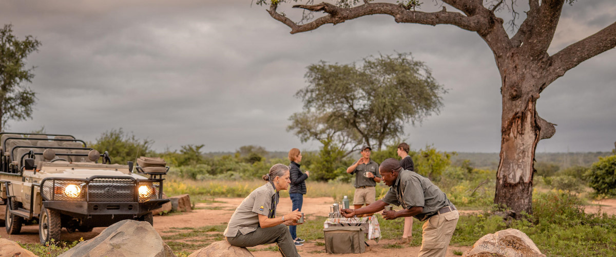 Kapama Sunrise Safari Stop