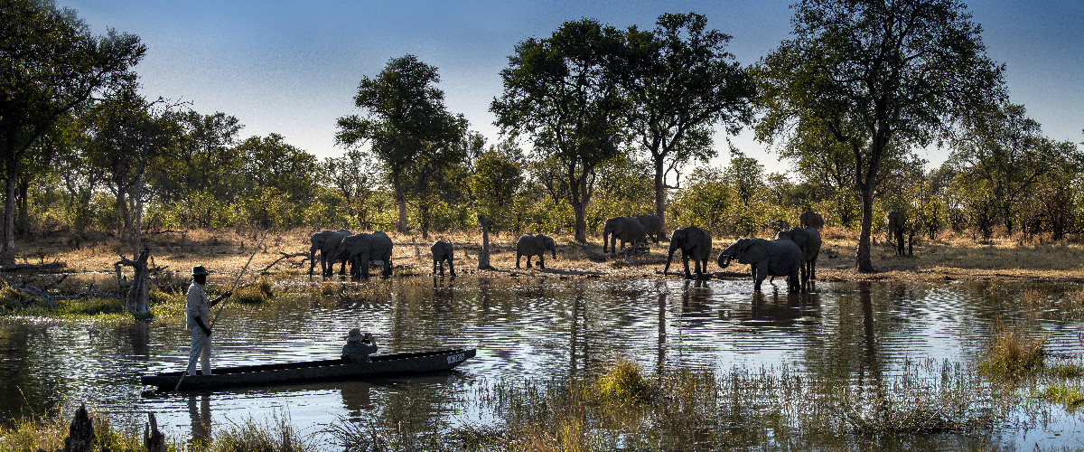 Khwai Lediba Mokoro_001