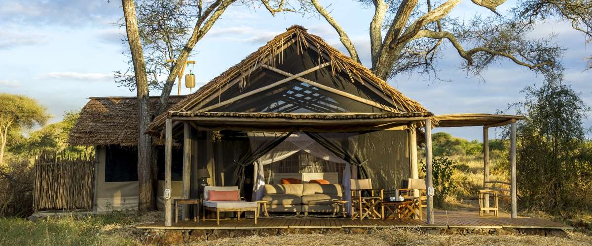 Nomad Kuro Tarangire