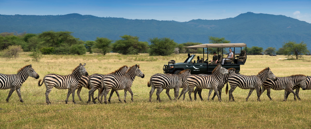 Lake Manyara game drive