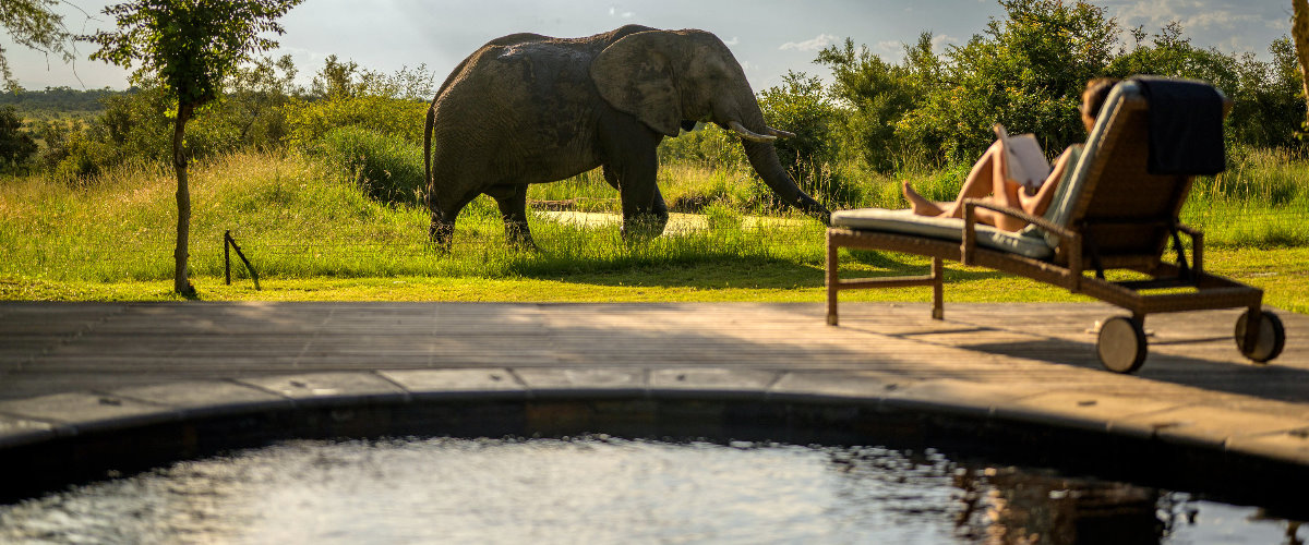 Savanna Lodge Private Heated Plunge pool