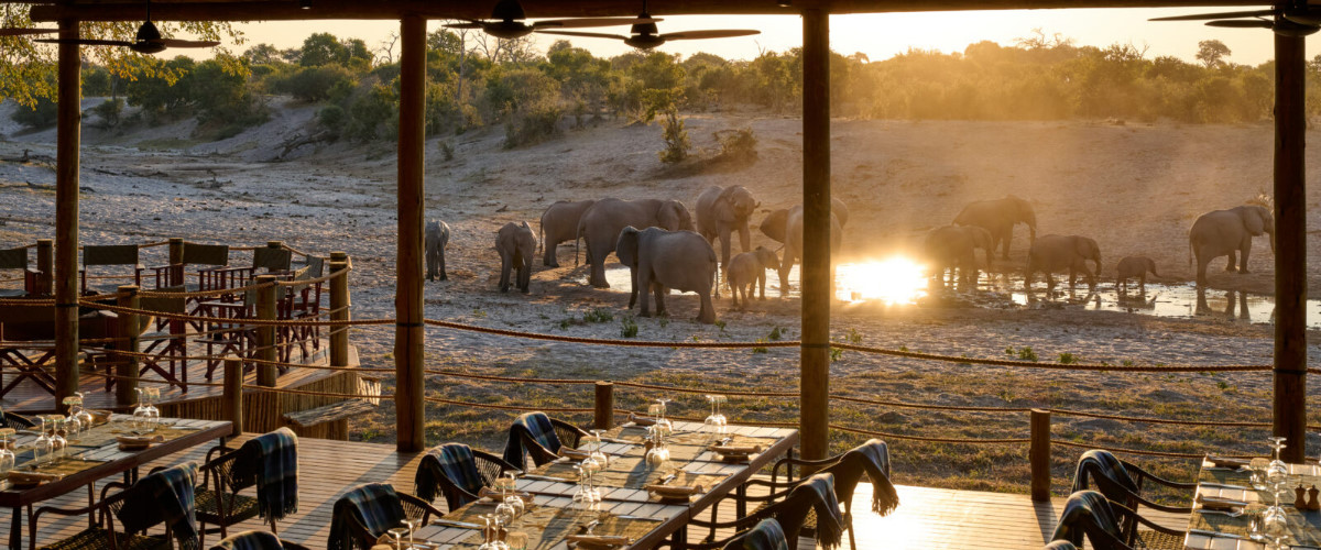 Savute Safari Lodge Dining
