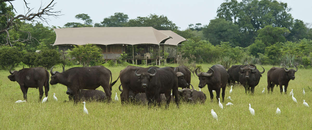 Toka Leya Wilderness (2)