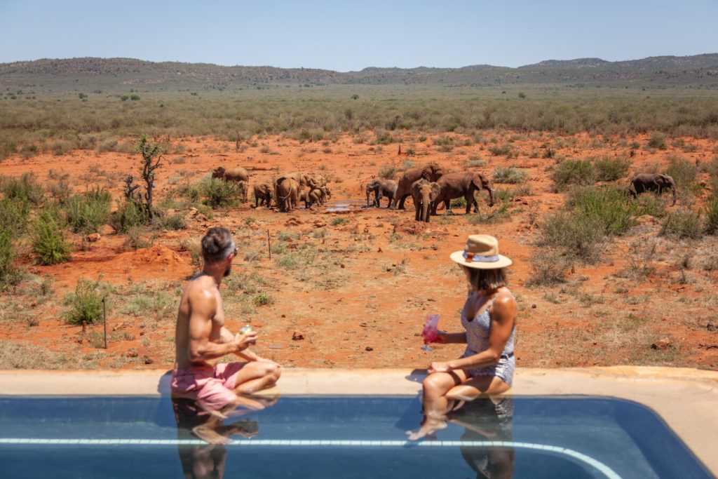 two safari guests having pool cocktails while watching elephants drink at Madikwe Hills Lodge SA