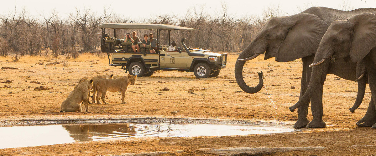 savute_game_drive-291